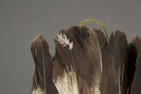 Nez%20Perce%20artist%2C%20%3Cb%3E%3Ci%3E%20Headdress%3C%2Fi%3E%3C%2Fb%3E%2C%20ca.%201910%2C%20feathers%2C%20glass%20beads%2C%20and%20cotton%20fabric%2C%20The%20Elizabeth%20Cole%20Butler%20Collection%2C%20no%20known%20copyright%20restrictions%2C%2086.126.6
